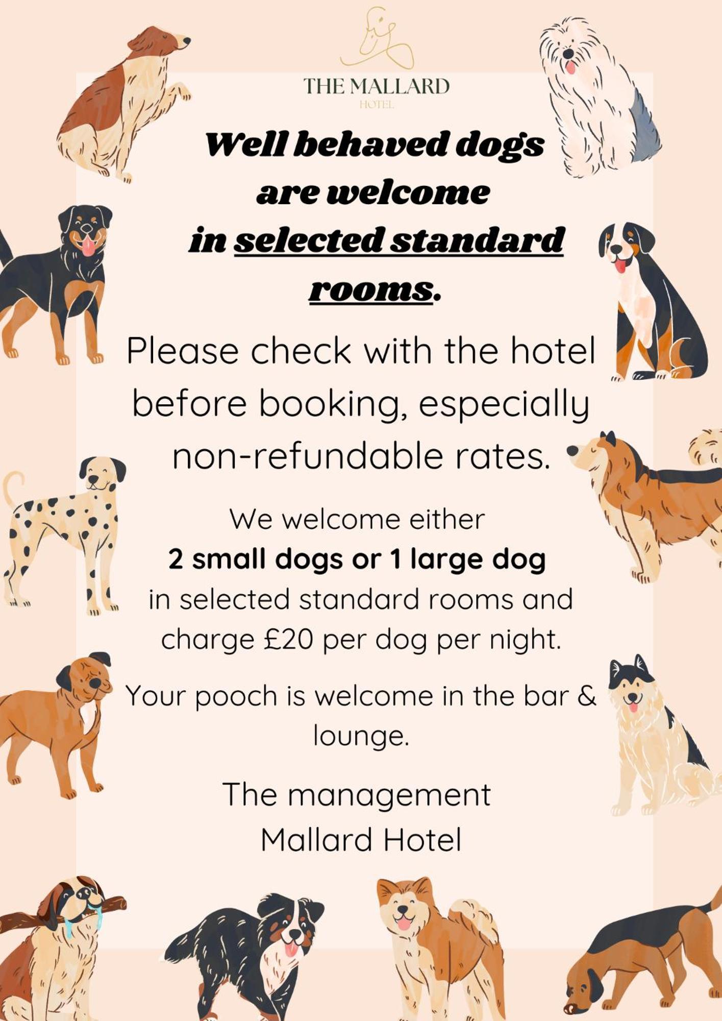 The Mallard Hotel 吉伦 外观 照片